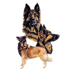Belgian Tervuren T-Shirt - Best Friends