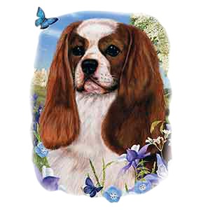 Cavalier King Charles Spaniel T-Shirt - Illustration