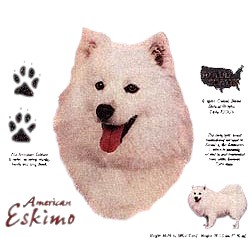 American Eskimo Dog T-Shirt - History Collection