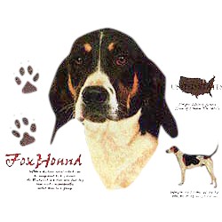 Foxhound T-Shirt - History Collection