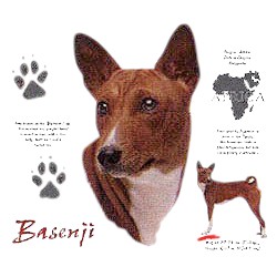 Basenji T-Shirt - History Collection