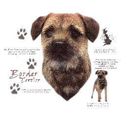Border Terrier T-Shirt - History Collection