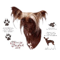 Chinese Crested T-Shirt - History Collection