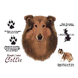 Collie T-Shirt - History Collection