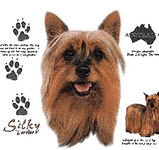 Silky Terrier T-Shirt - History Collection