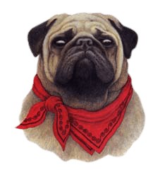 Pug T-Shirt - With Attitude