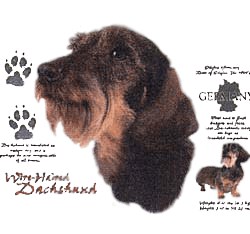 Wirehair Dachshund T-Shirt - History Collection