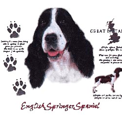 Springer Spaniel T-Shirt - History Collection