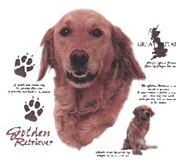 Golden Retriever T-Shirt - History Collection