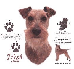 Irish Terrier T-Shirt - History Collection