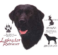 Black Lab T-Shirt - History Collection