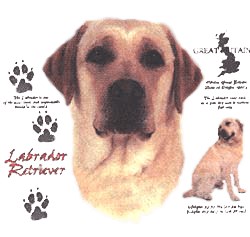 Yellow Lab T-Shirt - History Collection