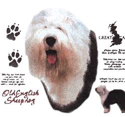 Old English Sheepdog T-Shirt - History Collection