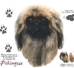 Pekingese T-Shirt - History Collection