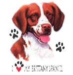 Brittany T-Shirt - I Love My