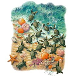 Sea Turtle T-Shirt - Colorful