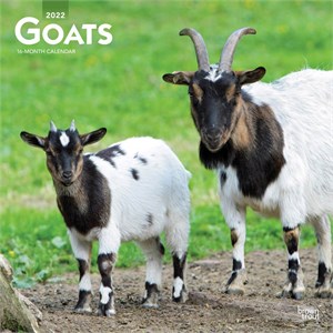  Goats Calendar 2013