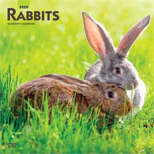  Rabbits Calendar 2014