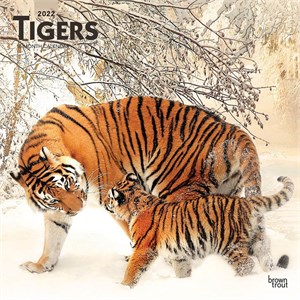  Tigers Calendar 2013