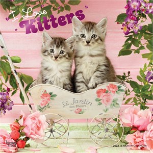  Kittens Calendar 2013