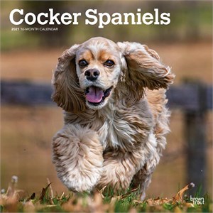  Cocker Spaniels Calendar 2013