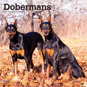  Dobermans Calendar 2013