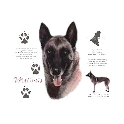 Belgian Malinois T-Shirt - History Collection