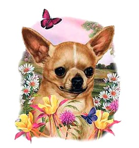 Chihuahua T-Shirt - Flowers