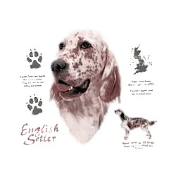 English Setter T-Shirt - History Collection