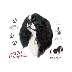 English Toy Spaniel T-Shirt - History Collection