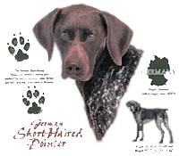 German Shorthaired Pointer T-Shirt - History Collection