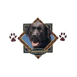 Black Lab T-Shirt - Diamond Collection