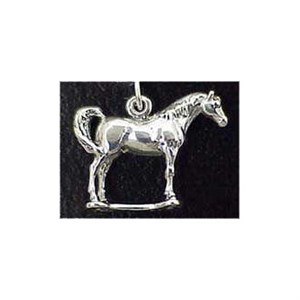 Arabian Horse Charm
