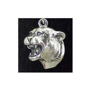 Cougar Charm
