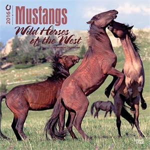  Wild Horses Calendar 2013
