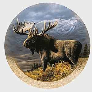 Moose Drink Coasters
