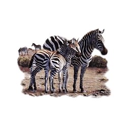 Zebra T-Shirt - Exotic Style