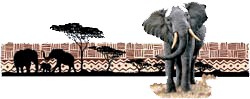Elephant T-Shirt - Impressive and Beautiful