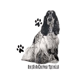 Cocker Spaniel T-Shirt - Profiles
