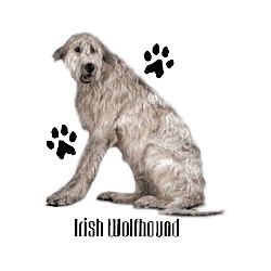 Irish Wolfhound T-Shirt - Profiles
