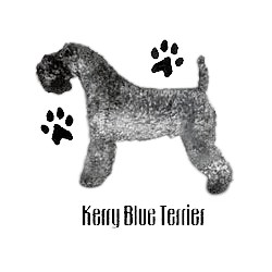 Kerry Blue Terrier T-Shirt - Profiles