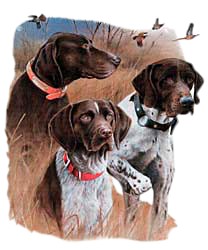 German Shorthaired Pointer T-Shirt - Jim Killen