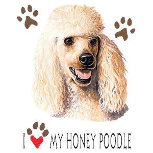 Poodle T-Shirt - I love My