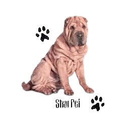Shar Pei T-Shirt - Profiles