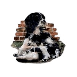 Springer Spaniel T-Shirt - Mom with Pup