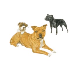 Staffordshire Bull Terrier T-Shirt - Trio of Three