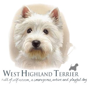 West Highland Terrier T-Shirt - Jim Killen