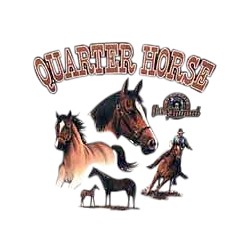 Quarter Horse T-Shirt - Several Poses