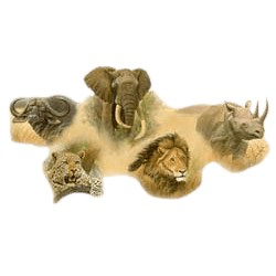 Rhinoceros T-Shirt - With Wildlife