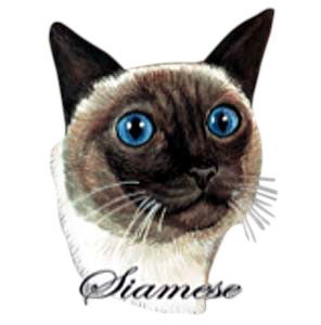 Siamese Cat T-Shirt - Eye Catching